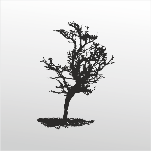 Folyo Sticker Ağaç