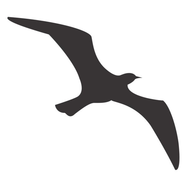 KUŞ FOLYO STİCKER