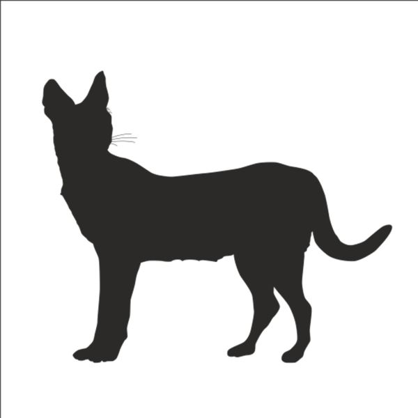 VAŞAK FOLYO STİCKER