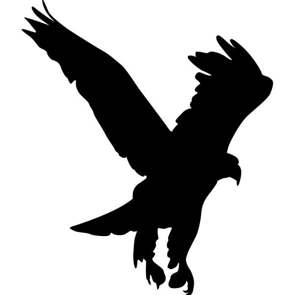 Folyo Sticker Kartal ADKPQUY621