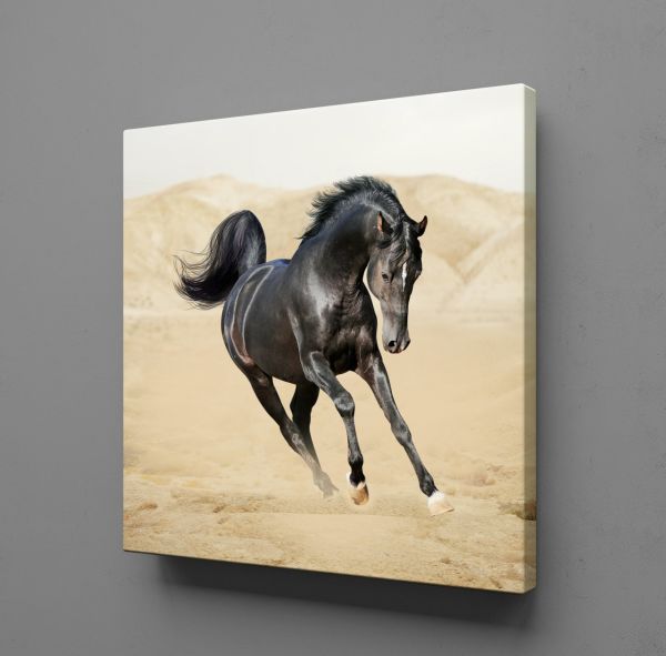 KOŞAN SİYAH AT KANVAS TABLO