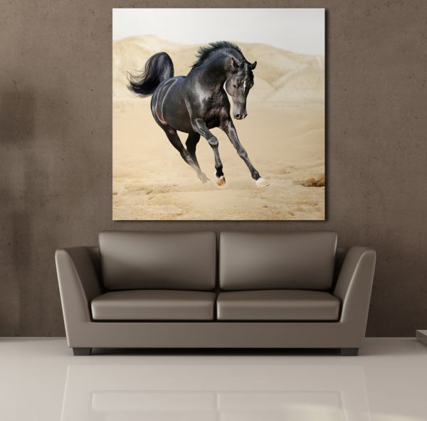 KOŞAN SİYAH AT KANVAS TABLO