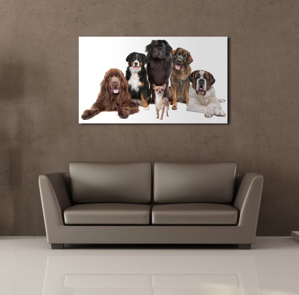 KÖPEK TOPLULUĞU KANVAS TABLO