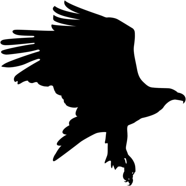 Folyo Sticker Kartal ADKPQUY624