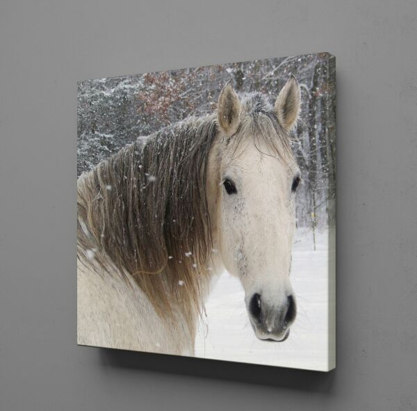 MASUM AT KANVAS TABLO