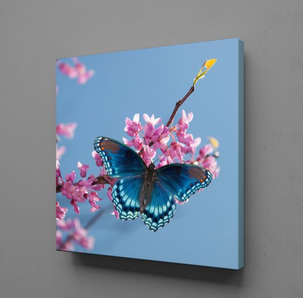 MAVİ KELEBEK KANVAS TABLO