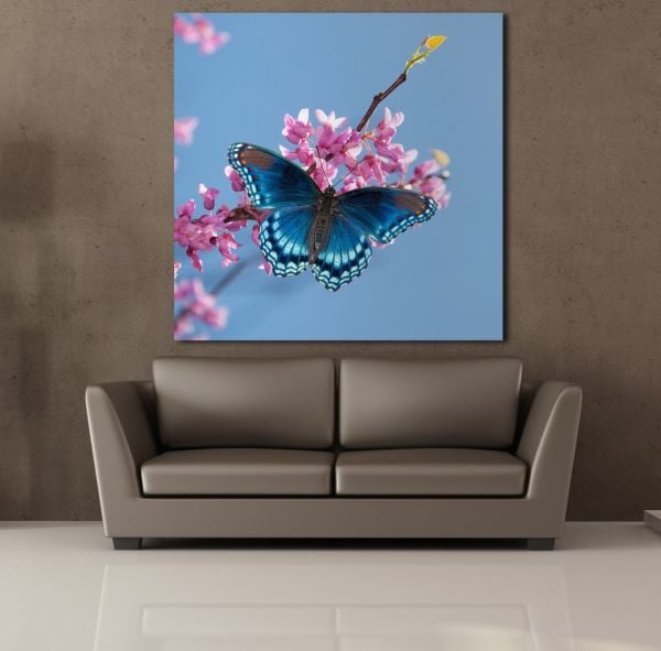 MAVİ KELEBEK KANVAS TABLO