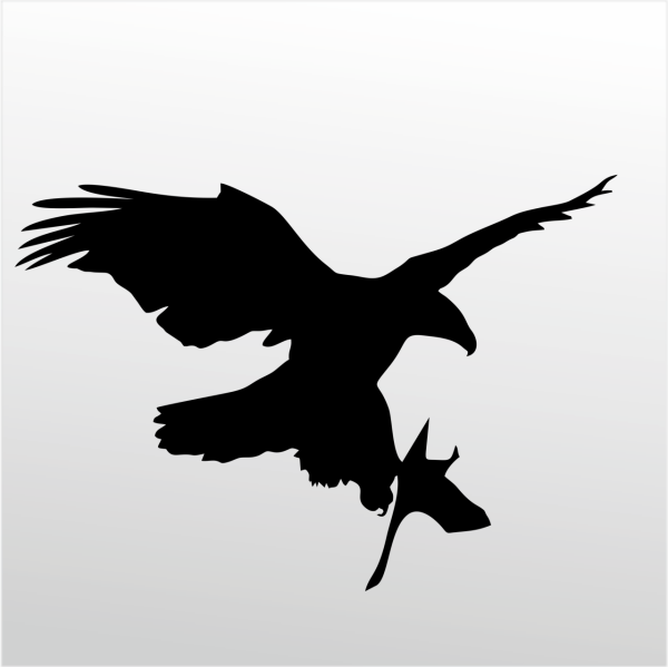 Folyo Sticker Kartal ADKPQUY625