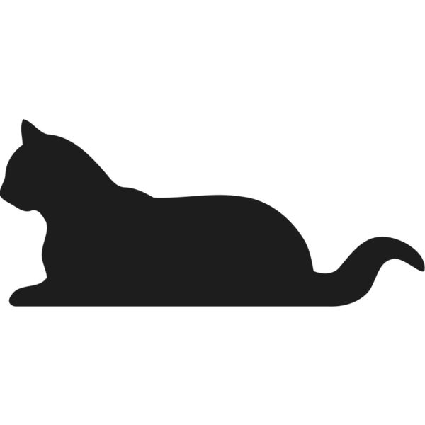 KEDİ FOLYO STİCKER