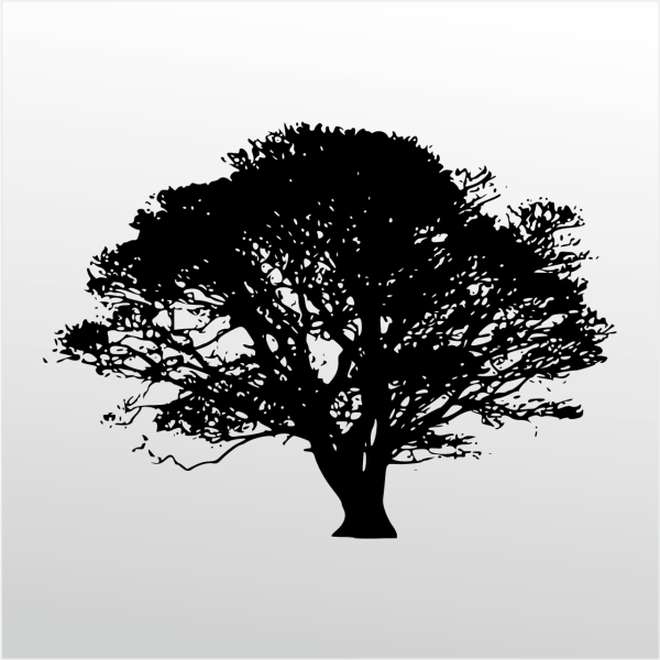 Folyo Sticker Ağaç ADKPQUY114