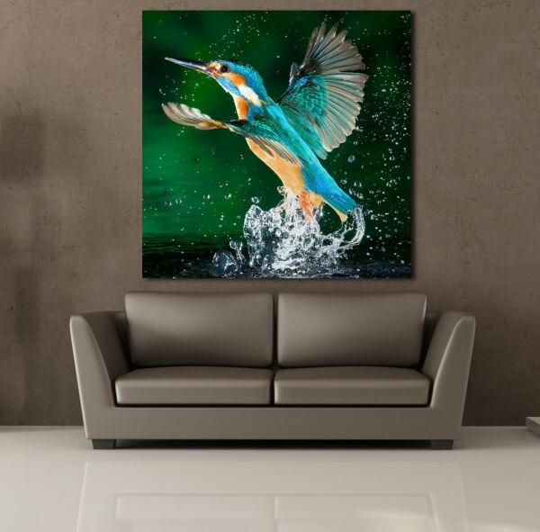 RENKLİ KUŞ KANVAS TABLO