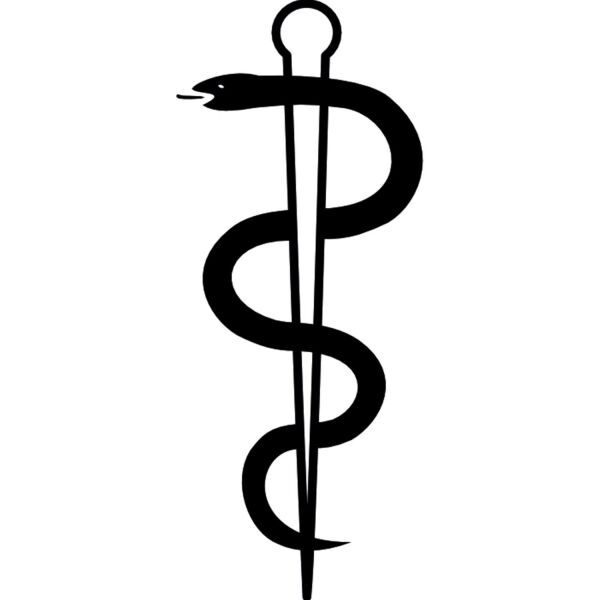 Folyo Sticker Yılan