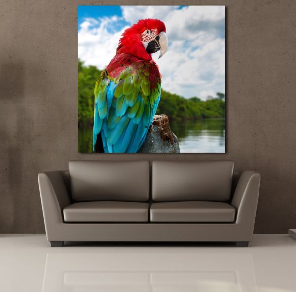RENKLİ PAPAĞAN KANVAS TABLO