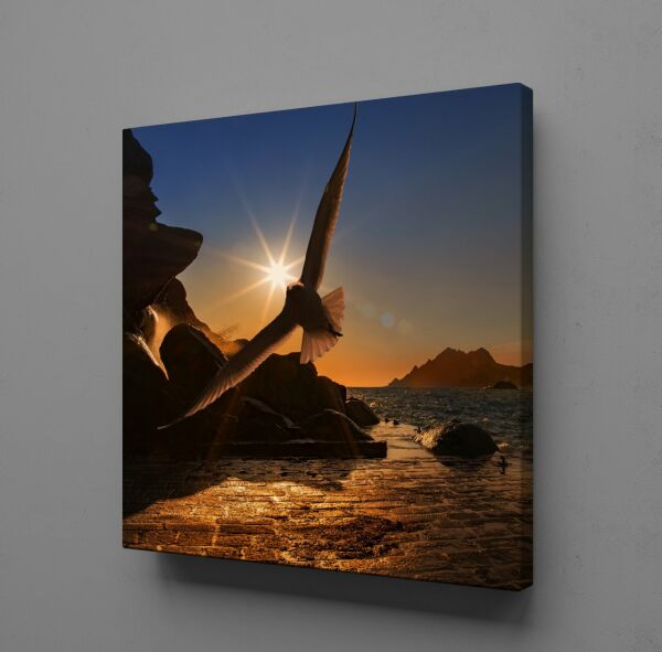 SAHİLDE UÇAN KUŞ KANVAS TABLO