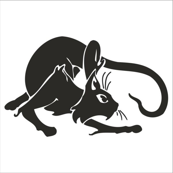 KEDİ FOLYO STİCKER