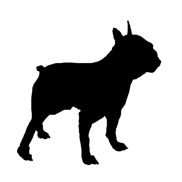 KÖPEK FOLYO STİCKER DERSTV878