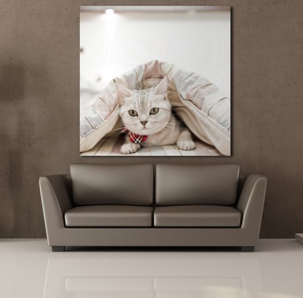 SEVİMLİ KEDİ KANVAS TABLO