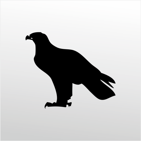 Folyo Sticker Kartal ADKPQUY630