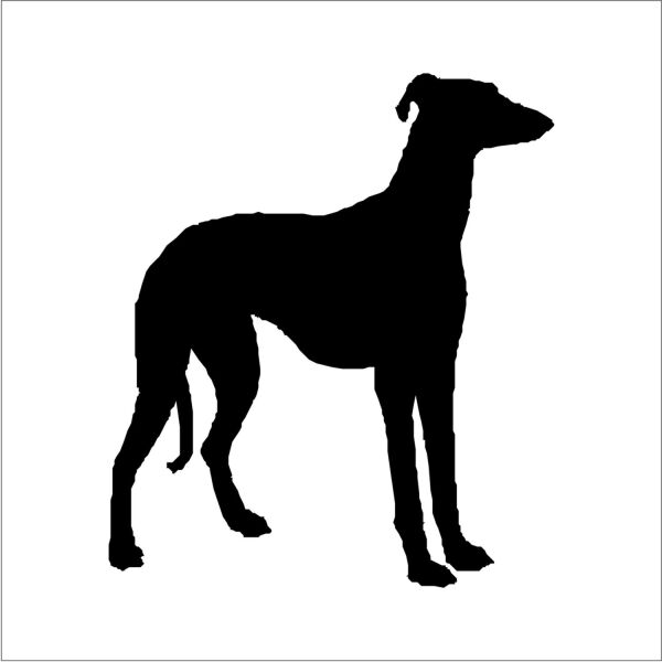 KÖPEK FOLYO STİCKER DERSTV879