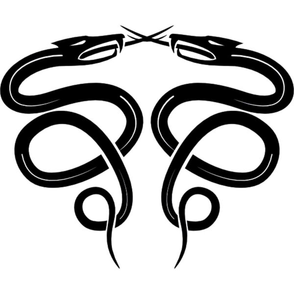 YILAN FOLYO STİCKER