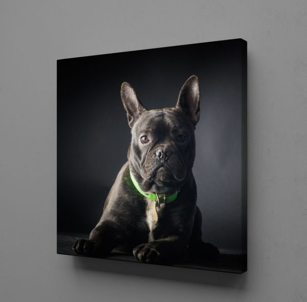 SİYAH KÖPEK KANVAS TABLO