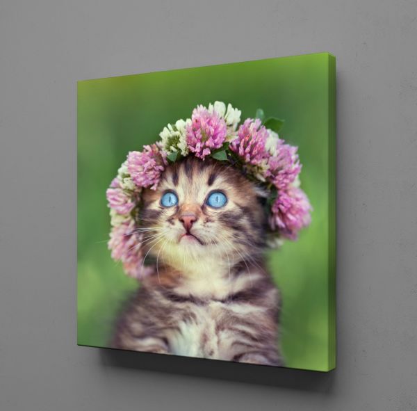 TATLI KEDİ KANVAS TABLO