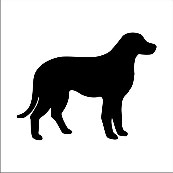 KÖPEK FOLYO STİCKER DERSTV880