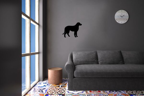 KÖPEK FOLYO STİCKER DERSTV880