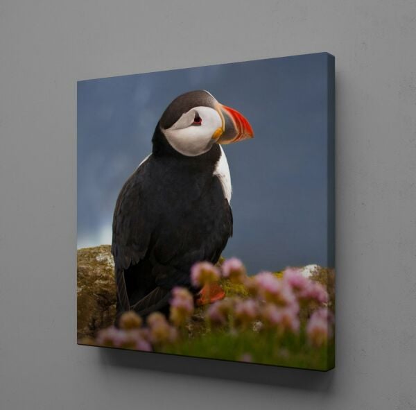 ÜZGÜN KUŞ KANVAS TABLO