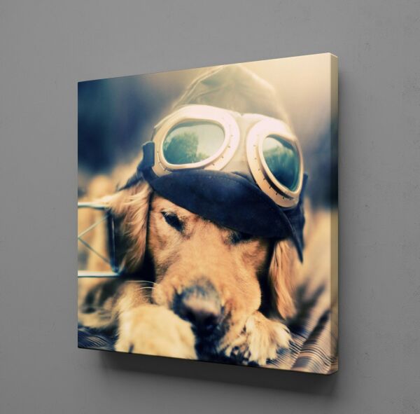 YAVRU KÖPEK KANVAS TABLO