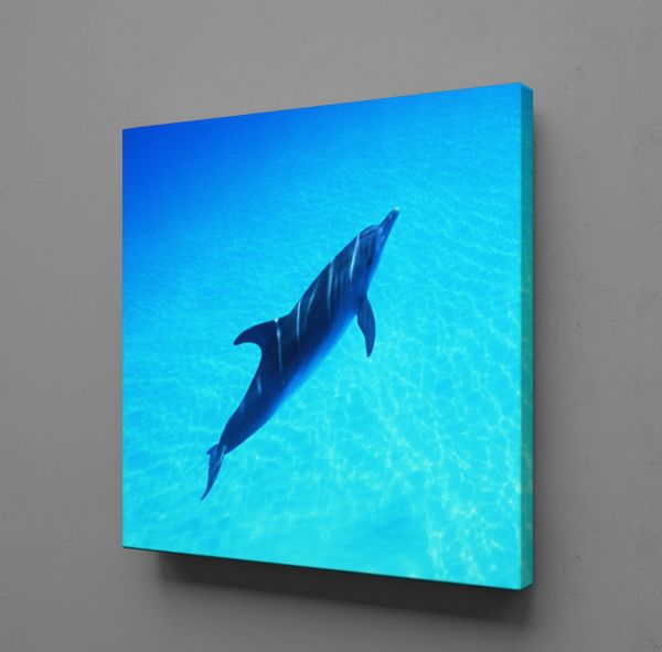 YUNUS BALIĞI KANVAS TABLO