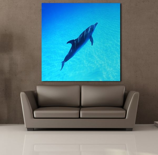 YUNUS BALIĞI KANVAS TABLO