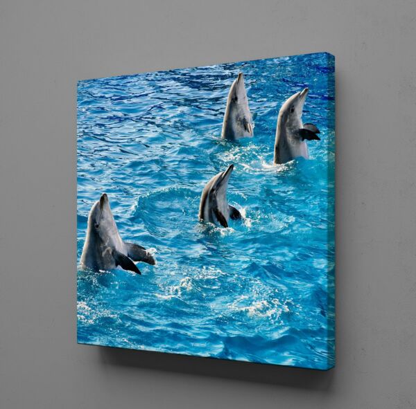 YUNUS BALIKLAR KANVAS TABLO