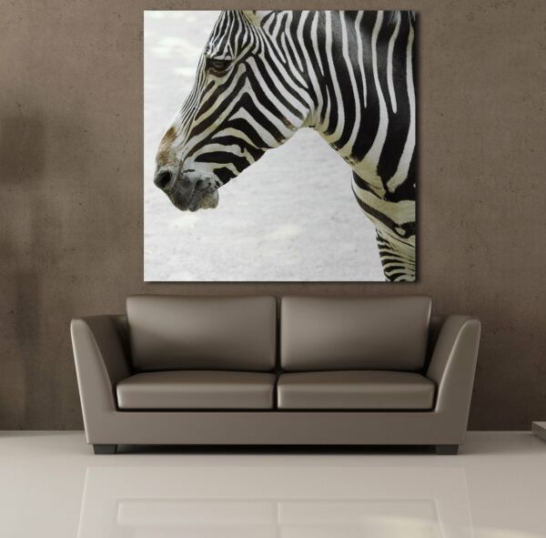 ZEBRA KAFASI KANVAS TABLO