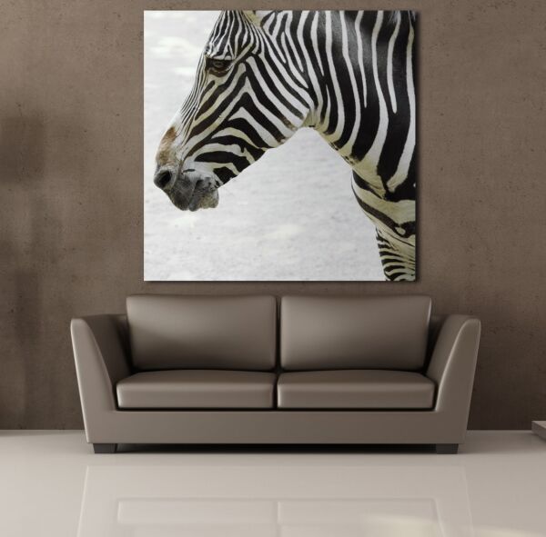 ZEBRA KAFASI KANVAS TABLO