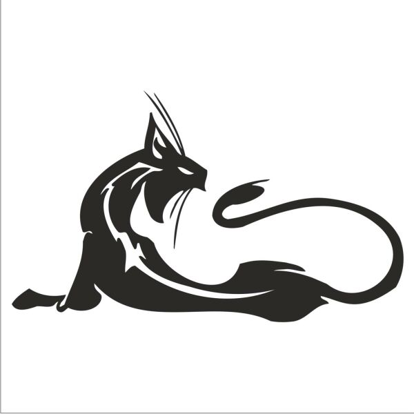 KEDİ FOLYO STİCKER