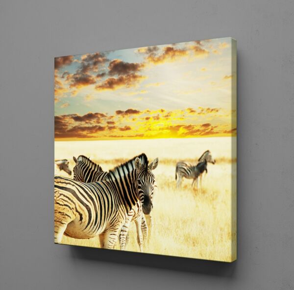 ZEBRA KANVAS TABLO