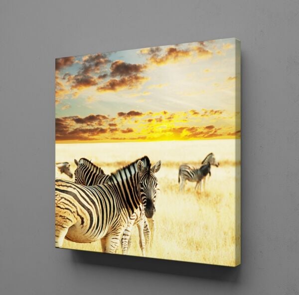 ZEBRA KANVAS TABLO