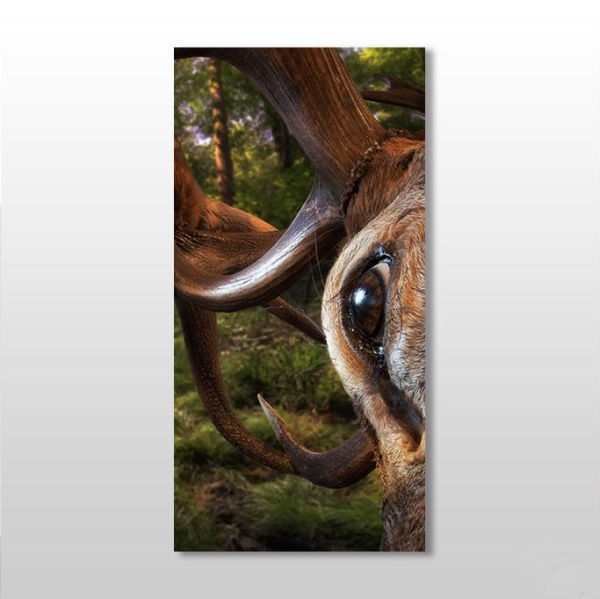 Geyik Kanvas Tablo