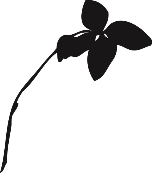 AĞAÇ VE GÜL RESİMLERİ FOLYO STİCKER