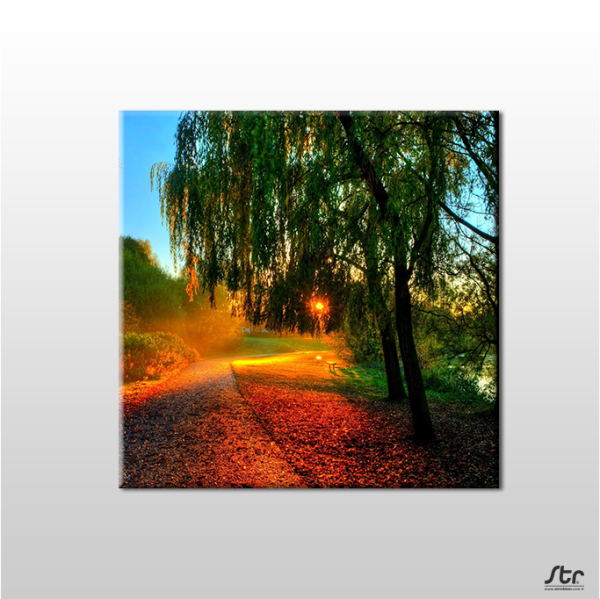 Güneşin Dokunuşu Kanvas Tablo