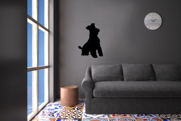 KÖPEK FOLYO STİCKER DERSTV888