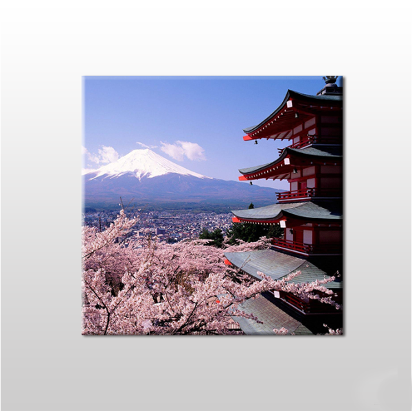 Kar Ve Çiçekler Kanvas Tablo