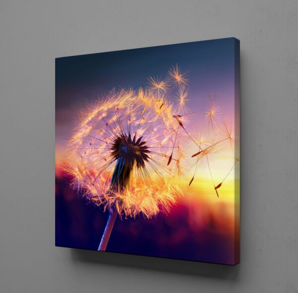 KARAHİNDİBA ÇİÇEĞİ UÇAN YAPRAKKLAR KANVAS TABLO