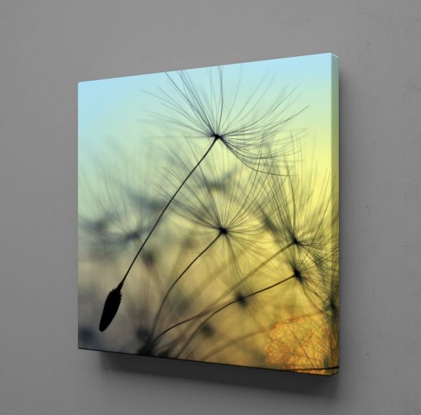 KARAHİNDİBA ÇİÇEĞİ RESMİ KANVAS TABLO