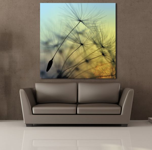 KARAHİNDİBA ÇİÇEĞİ RESMİ KANVAS TABLO