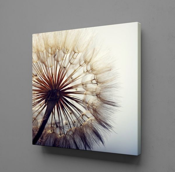 KARAHİNDİBA ÇİÇEĞİ RESİMLERİ KANVAS TABLO