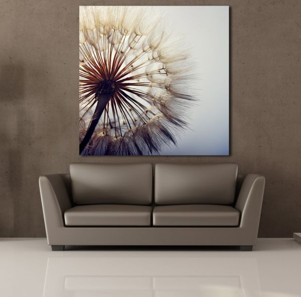 KARAHİNDİBA ÇİÇEĞİ RESİMLERİ KANVAS TABLO