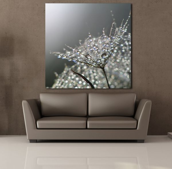 KARAHİNDİBA ÇİÇEĞİ TÜĞLERİ KANVAS TABLO