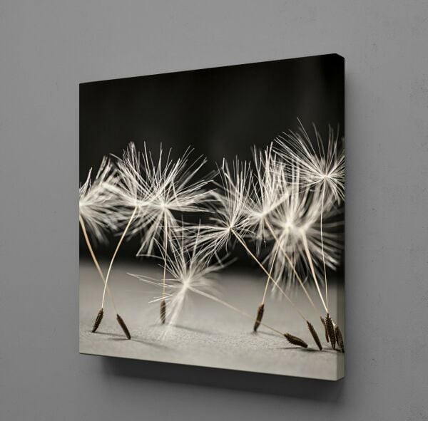 KARAHİNDİBA ÇİÇEĞİ KANVAS TABLO